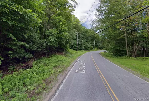 Fallsburg, NY 12789,375A Davos RD