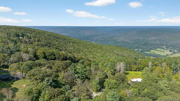 Cragsmoor, NY 12420,115 Schuyler AVE