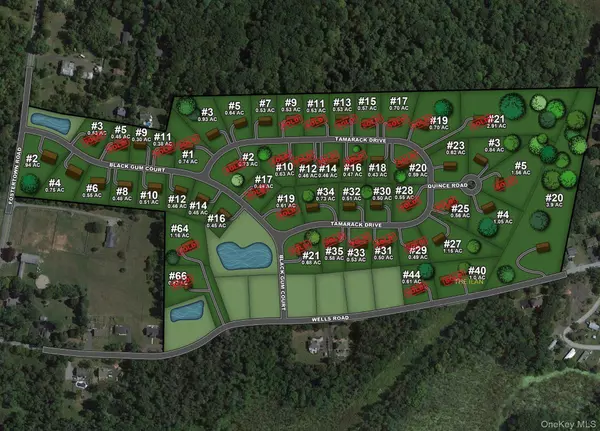 Newburgh, NY 12550,17 Black Gum CT