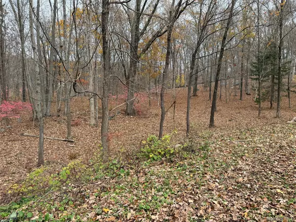 Bedford, NY 10506,334 Bedford Banksville RD