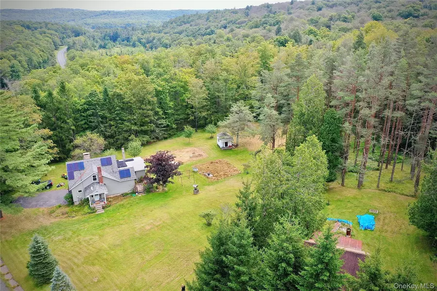 669 Shandelee RD, Livingston Manor, NY 12758