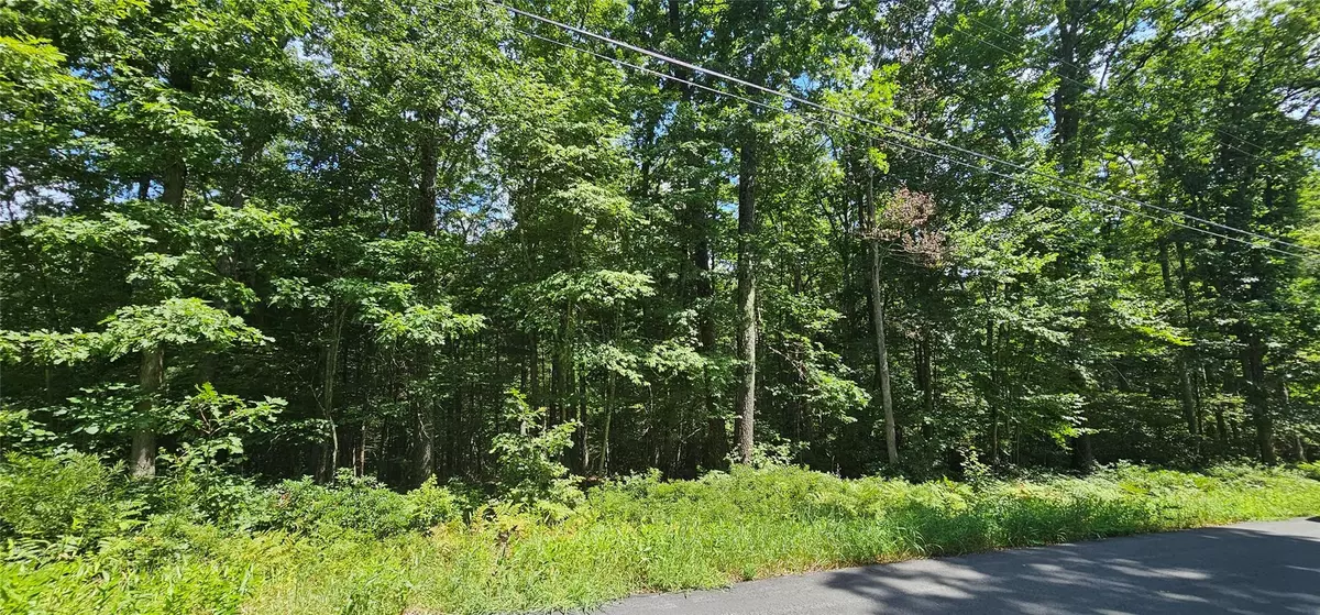 Narrowsburg, NY 12764,Lot 23.23 Perry Pond RD
