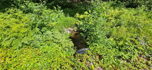 Narrowsburg, NY 12764,Lot 23.23 Perry Pond RD