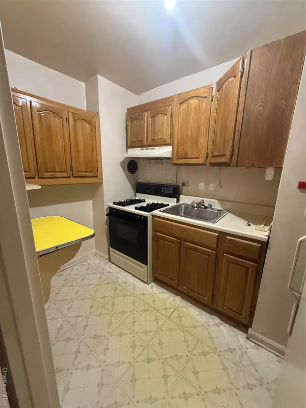 Sunnyside, NY 11104,46-01 39 AVE #517