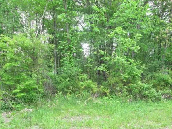New Hampton, NY 10958,20 Elliott PL