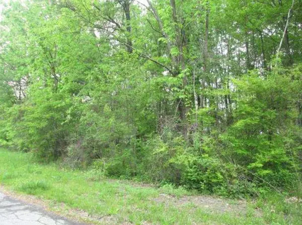 New Hampton, NY 10958,20 Elliott PL