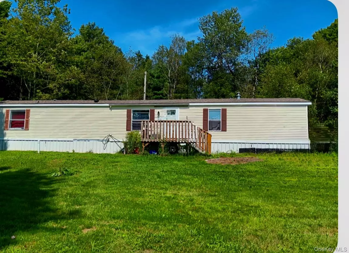 Liberty, NY 12783,811 Briscoe