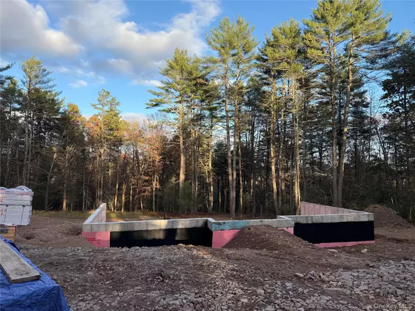 Barryville, NY 12719,9.6 Van Tuyl RD