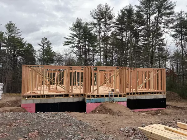 Barryville, NY 12719,9.6 Van Tuyl RD