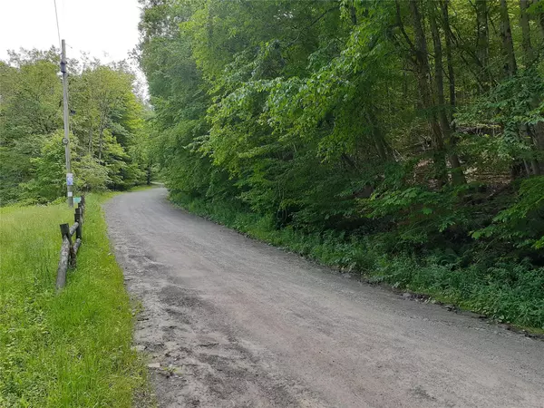 East Branch, NY 13756,1407 Eminence RD
