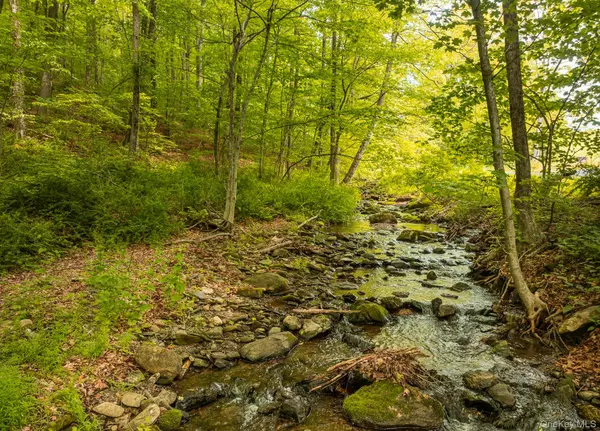 Millerton, NY 12546,A Skunks Misery RD