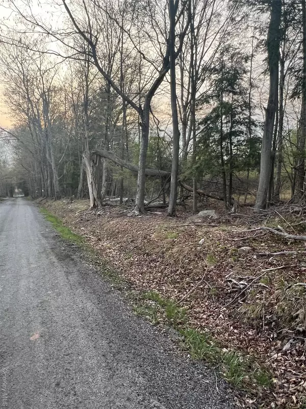 Monticello, NY 12701,838 Old Liberty Road