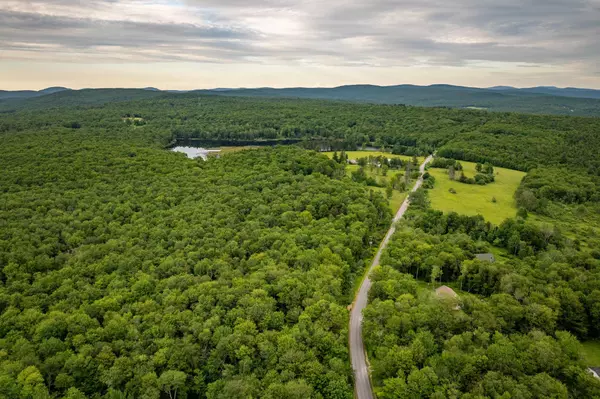 Livingston Manor, NY 12758,351 White Roe Lake RD