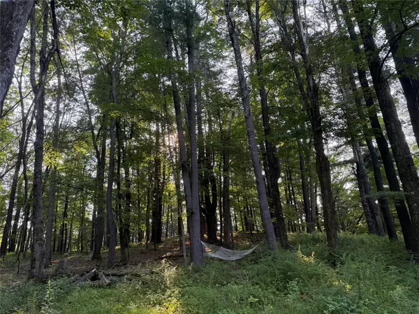 Accord, NY 12404,393 County Route 2