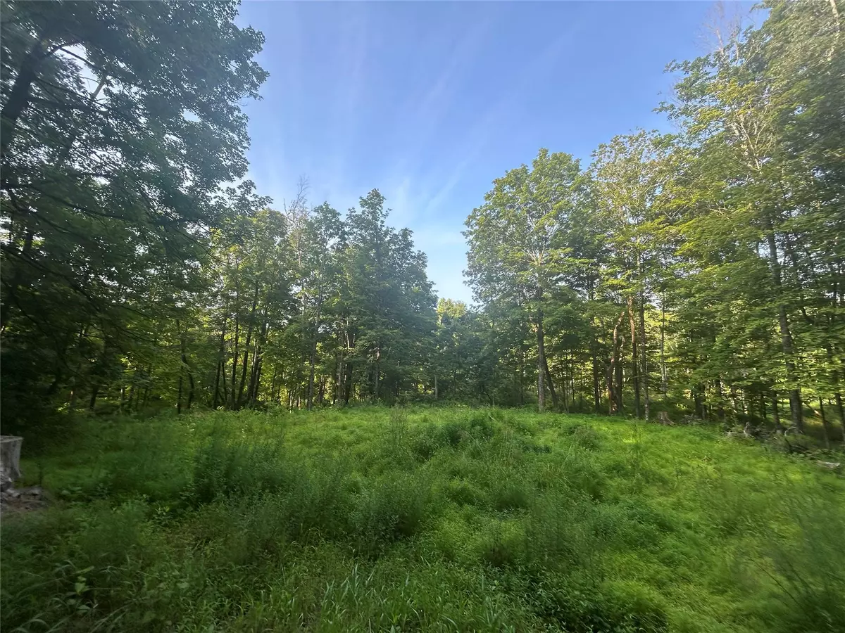 Accord, NY 12404,393 County Route 2