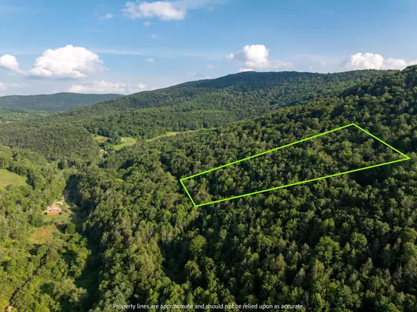 Andes, NY 13731,Broad Channel RD