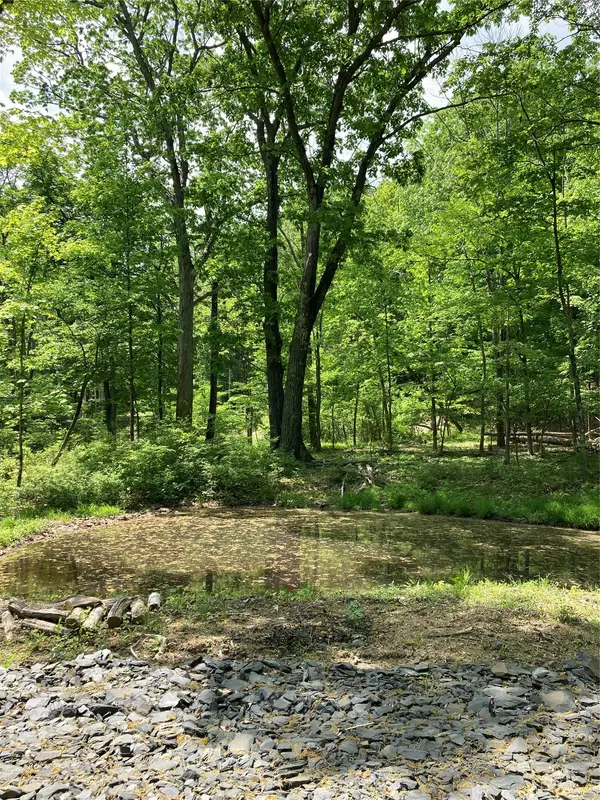 Pine Bush, NY 12566,716 Upper Mountain RD