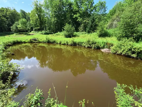 Other, NY 13788,162 Disco DR