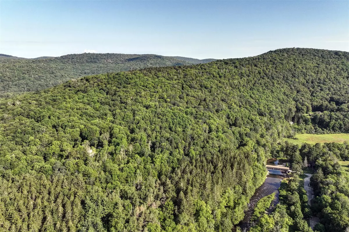 Roscoe, NY 12776,821 Berry Brook RD