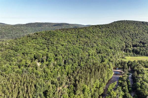 Roscoe, NY 12776,821 Berry Brook RD