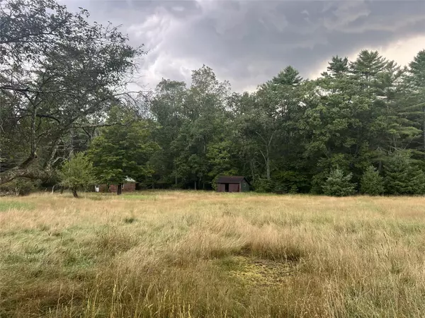 Narrowsburg, NY 12764,259 Lackawaxen RD