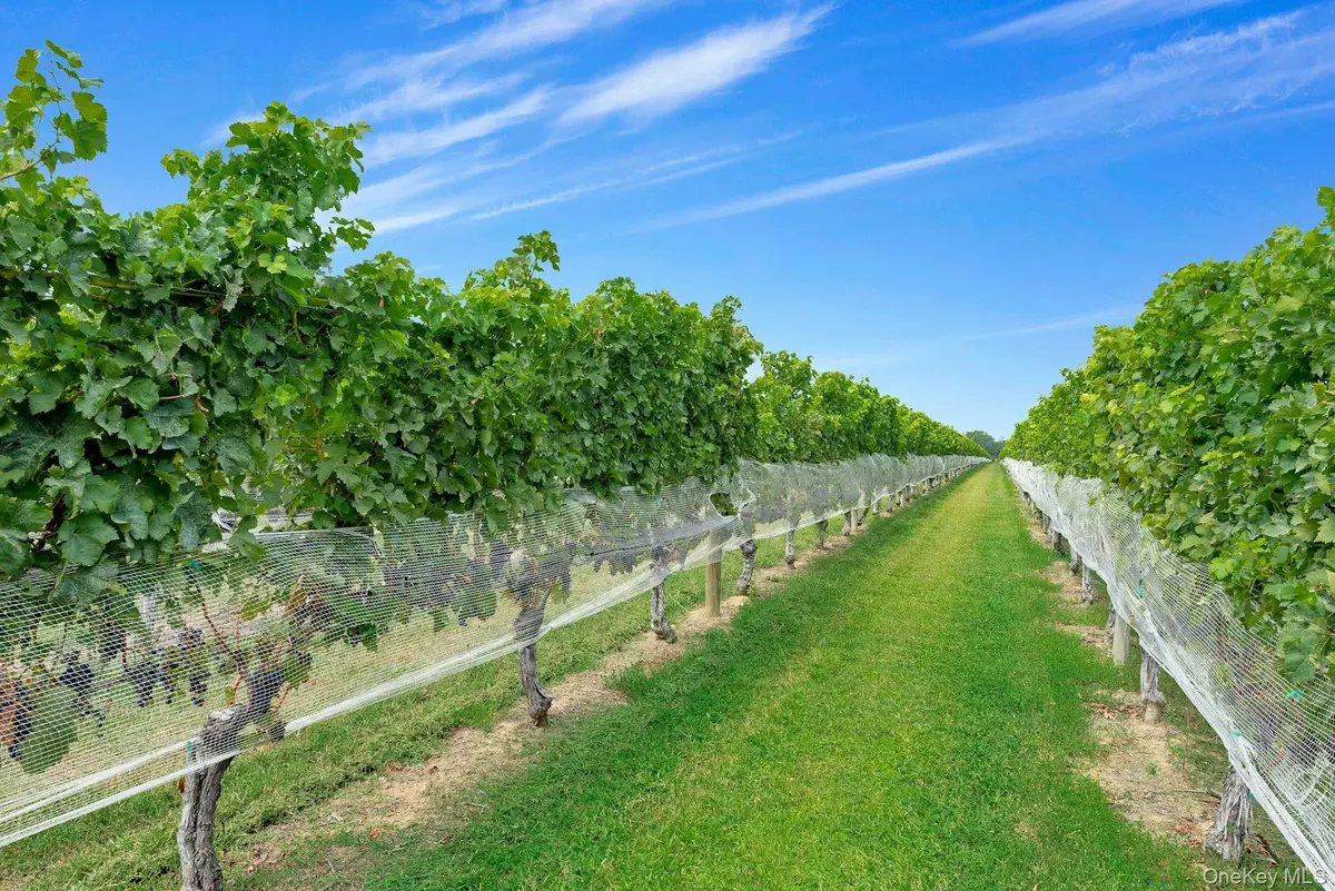 Peconic, NY 11971,44075 Route 25