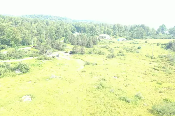 Call Listing Agent, NY 12776,Dutch Hill
