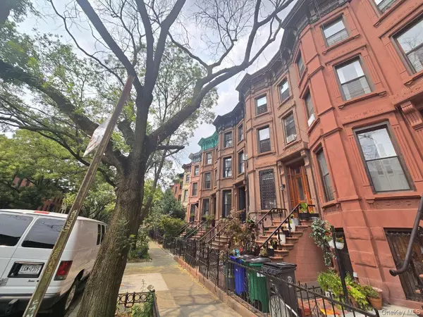 477 Halsey ST, Brooklyn, NY 11233
