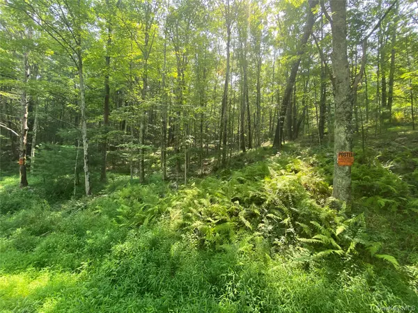 Wurtsboro, NY 12790,South RD