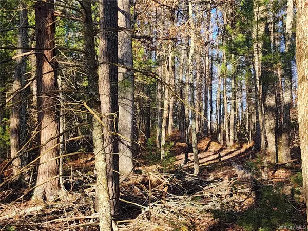 Glen Spey, NY 12737,0 Taras Schevchenko RD