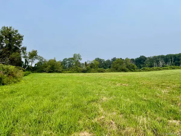 Millbrook, NY 12545,Bangall RD