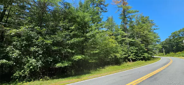 Narrowsburg, NY 12764,Lot 50 Deep Hollow Hill RD