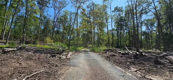 Narrowsburg, NY 12764,Lot 8.1 Eckes RD