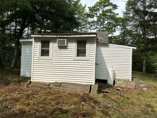 Wurtsboro, NY 12790,13 Brook TRL