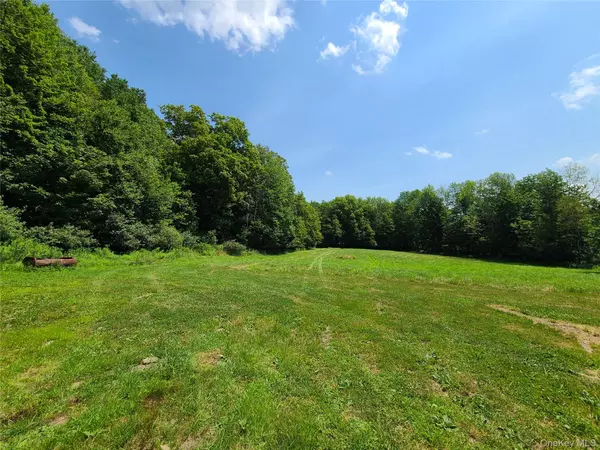 Livingston Manor, NY 12758,Stump Pond RD