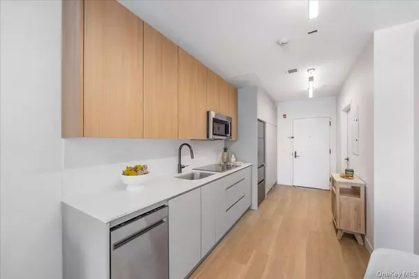 White Plains, NY 10601,8 Chester AVE #203
