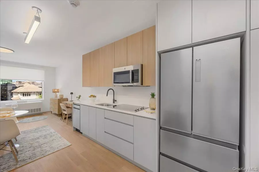 8 Chester AVE #205, White Plains, NY 10601