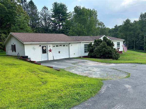 Ferndale, NY 12734,118 Radcliff RD
