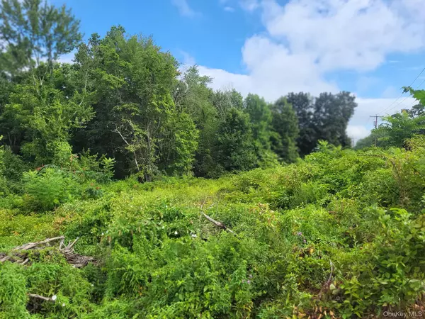 W NYS RTE 208 Highway (Bona Ventura) AVE, Wallkill, NY 12589