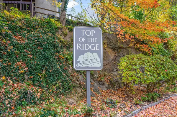 Mamaroneck, NY 10543,3 Top Of The RDG #B2