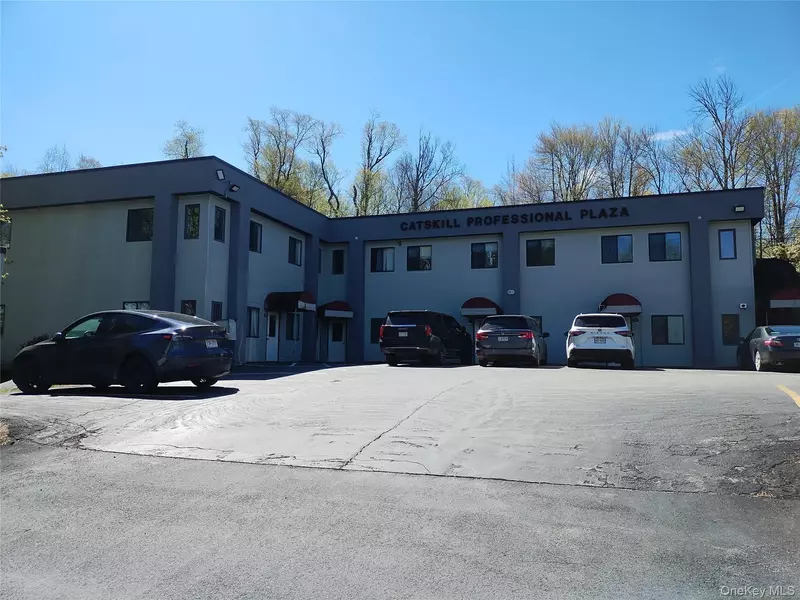 39 Old Monticello RD, Ferndale, NY 12734