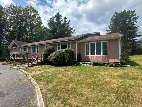 Monticello, NY 12701,738 Rose Valley RD