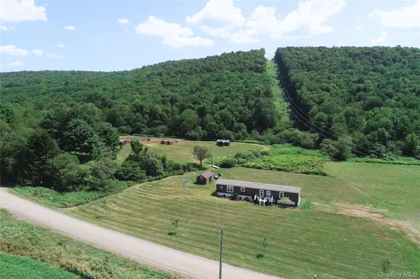 East Meredith, NY 13757,2332 Houghtaling Hollow RD