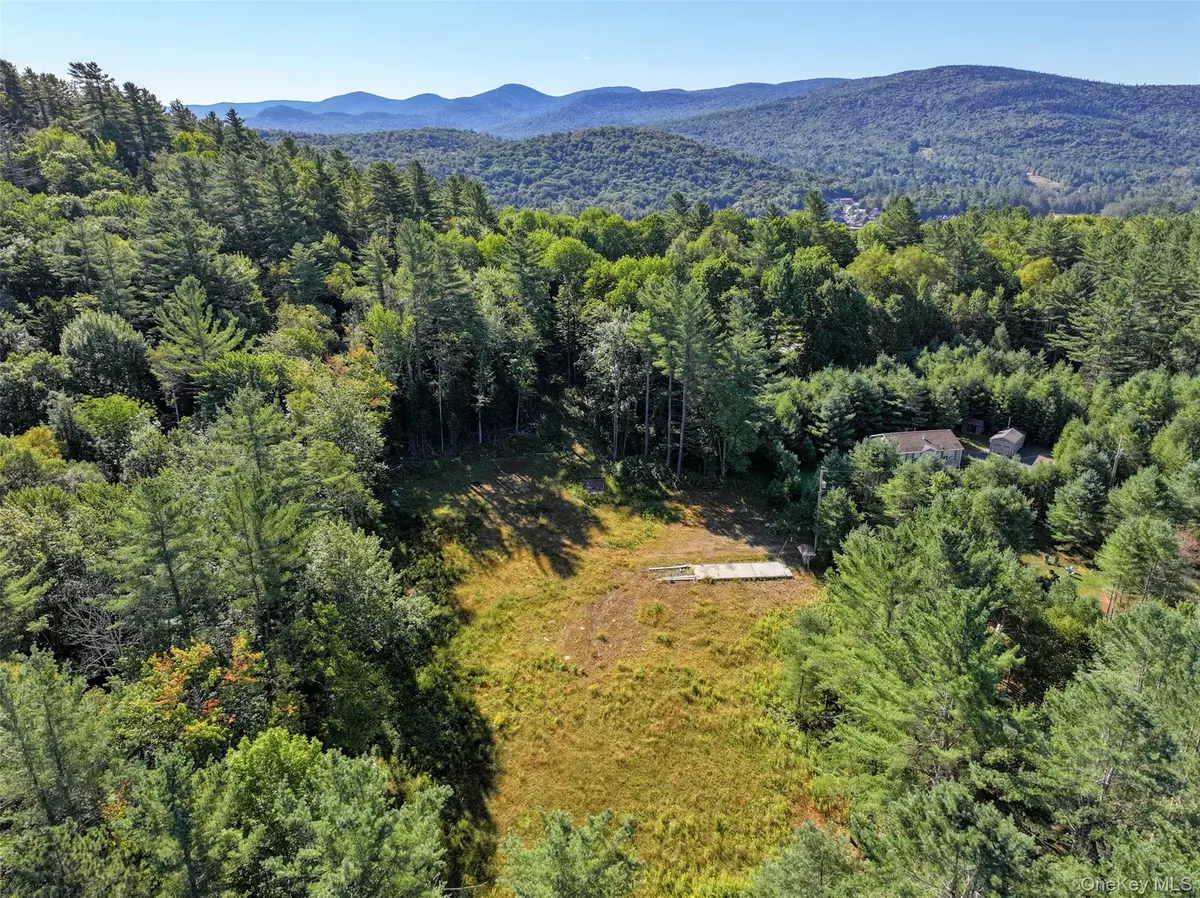 Call Listing Agent, NY 12847,L39 Off Flowers WAY