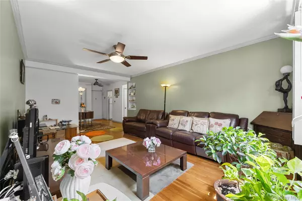 Bayside, NY 11364,73-23 210th ST #2G