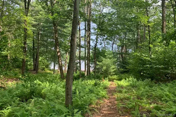 White Lake, NY 12720,Lot 23 Woodstone Trail