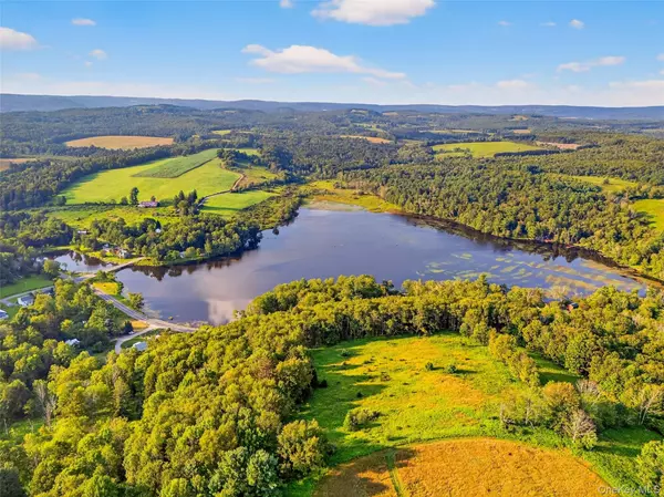 Swan Lake, NY 12783,987 Hurd RD