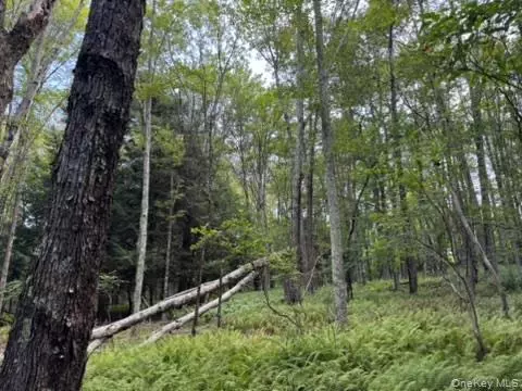 Woodbourne, NY,113 Moore