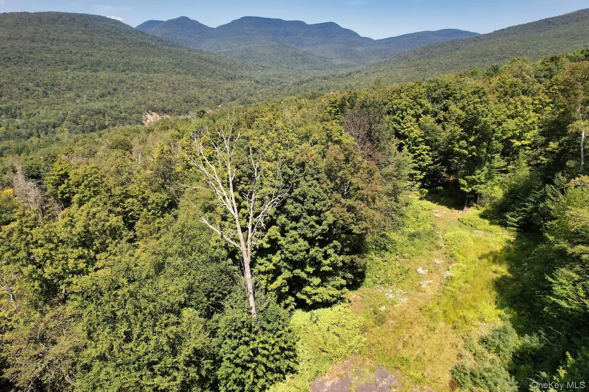 Bearsville, NY 12409,TBD MacDaniel RD