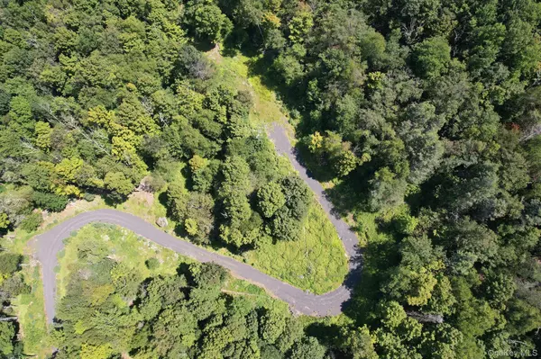 Bearsville, NY 12409,TBD MacDaniel RD